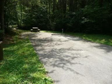 Electric · Site 008 at Stony Fork Campground