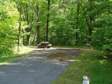 Electric · Site 009 at Stony Fork Campground