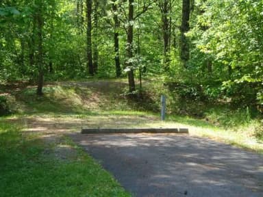 Electric · Site 012 at Stony Fork Campground