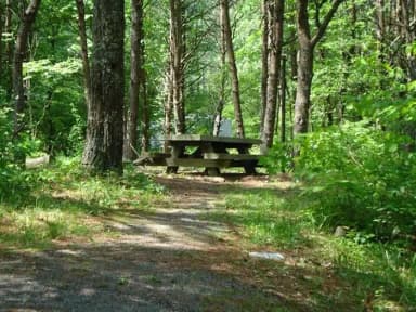 Electric · Site 012 at Stony Fork Campground