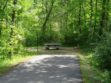 Standard · Site 013 at Stony Fork Campground