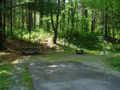 Electric · Site 014 at Stony Fork Campground