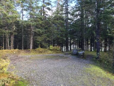 Site 004 at Mendenhall Campground