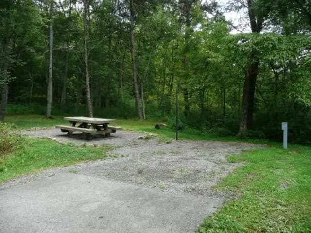 Stony Fork Campground
