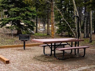 Picnic Table and grill in Circle Park Campground