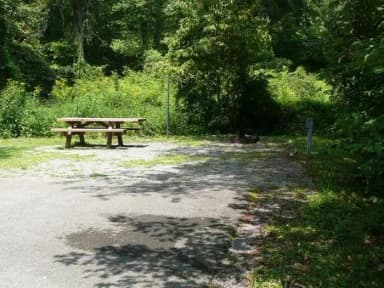 Electric · Site 024 at Stony Fork Campground
