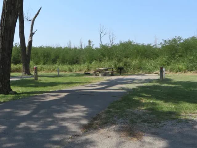 View of campsite 26