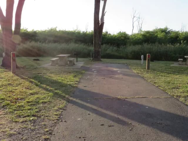 View of campsite 27
