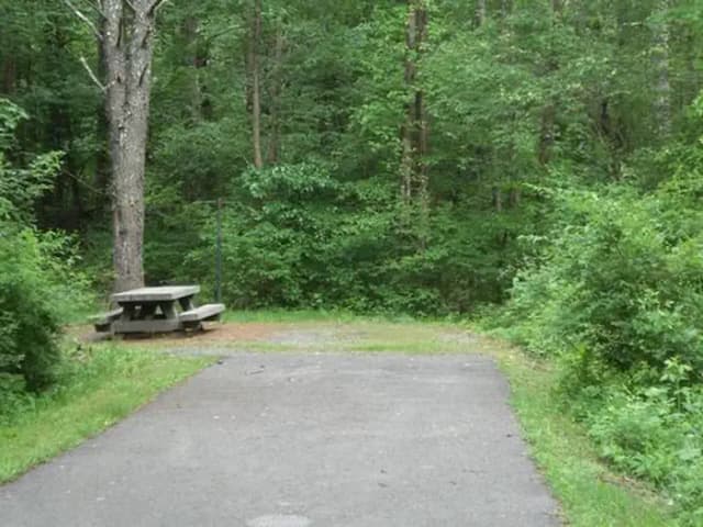Stony Fork Campground