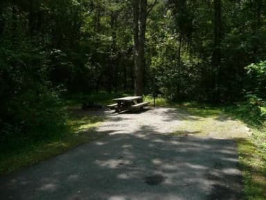Standard · Site 028 at Stony Fork Campground