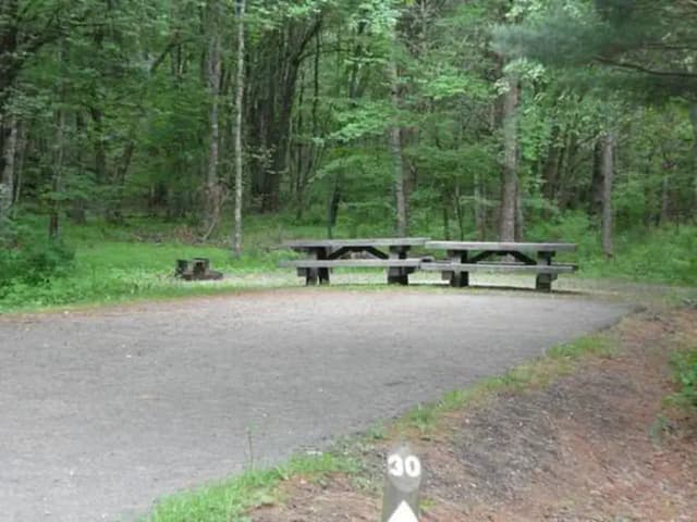 Stony Fork Campground