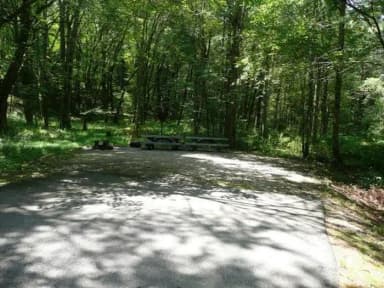 Standard · Site 030 at Stony Fork Campground