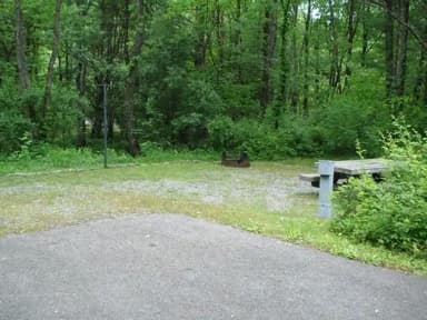 Electric · Site 031 at Stony Fork Campground