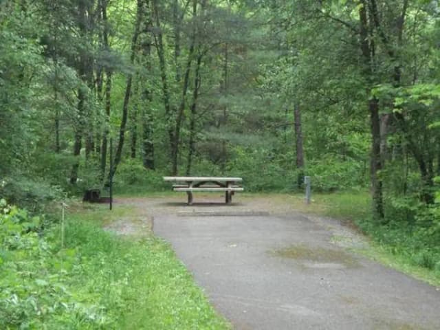 Stony Fork Campground