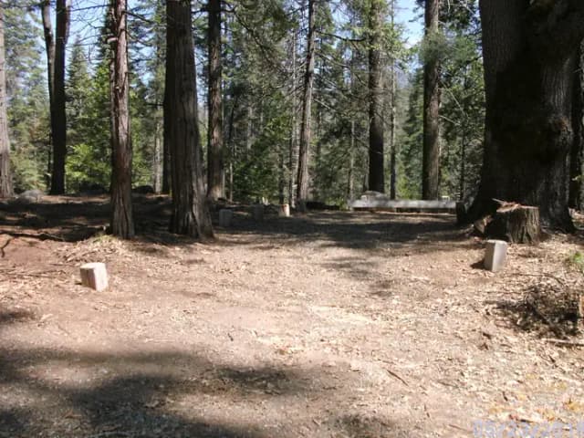 Site A005 at Chilkoot