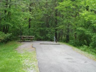 Water & Electric · Site 037 at Stony Fork Campground