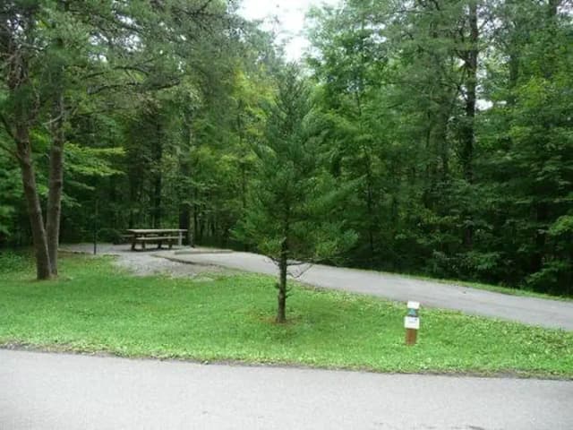 Stony Fork Campground