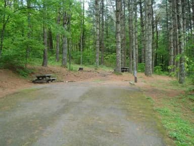 Water & Electric · Site 038 at Stony Fork Campground