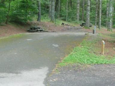 Water & Electric · Site 038 at Stony Fork Campground