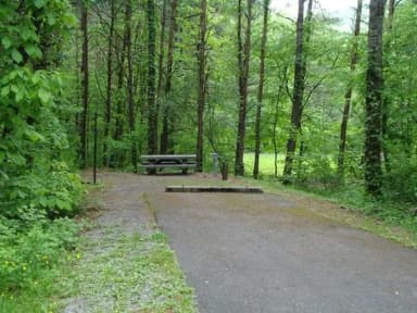 Water & Electric · Site 039 at Stony Fork Campground