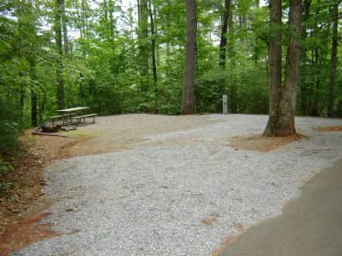 Site #4