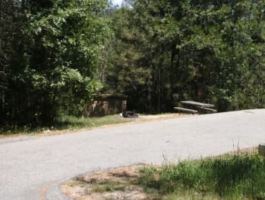 A photo of Site 063 of Loop 63-75 at LUPINE with Picnic Table, Fire Pit, Food Storage, Tent Pad
