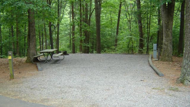 Site #5