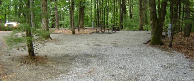 Site #6