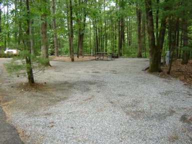 Site #6