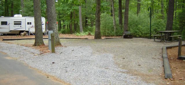Site #7