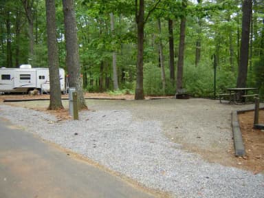 Site #7