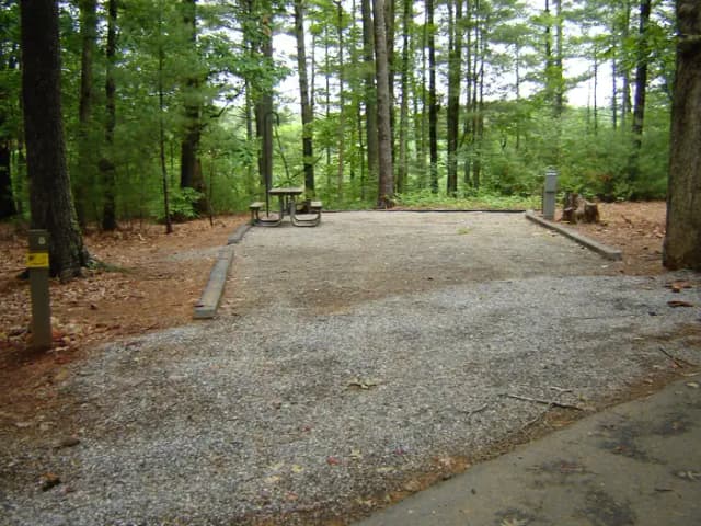 Site 8