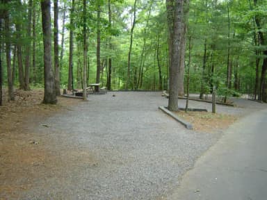 Site 9