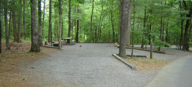 Site 9