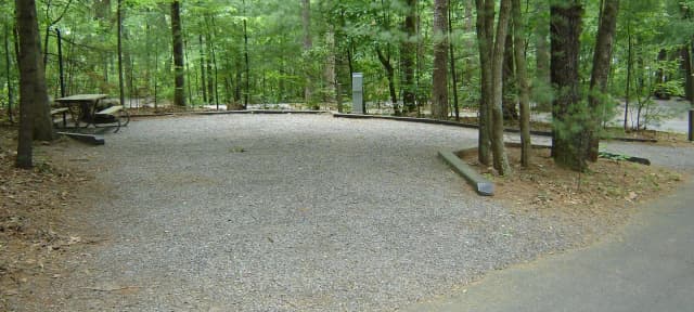 Site 10