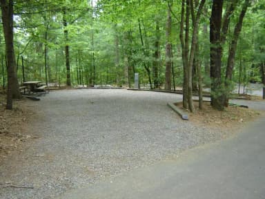 Site 10