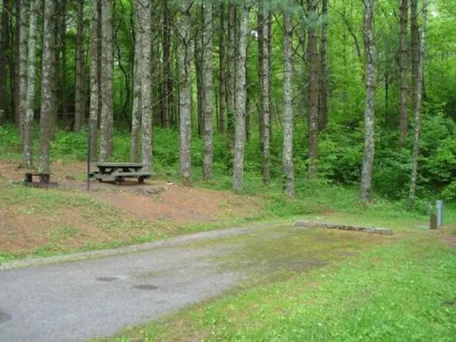 Stony Fork Campground