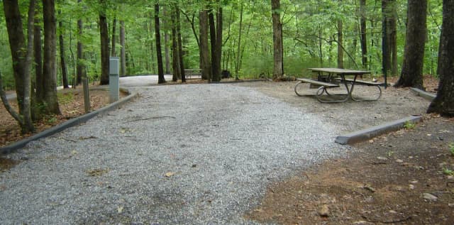 Site 11