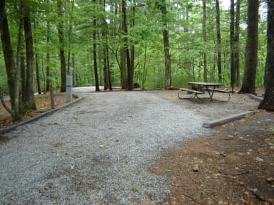 Site 11