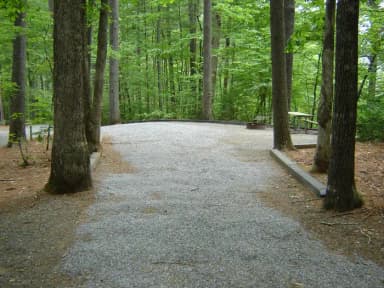 Site 12