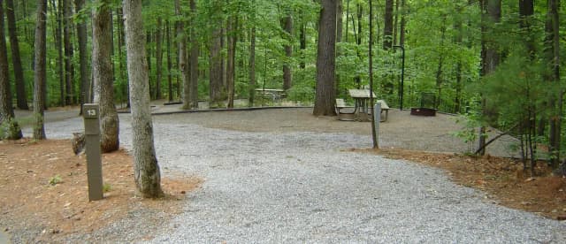 Site 13