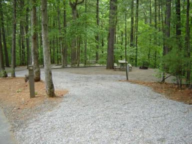 Site 13