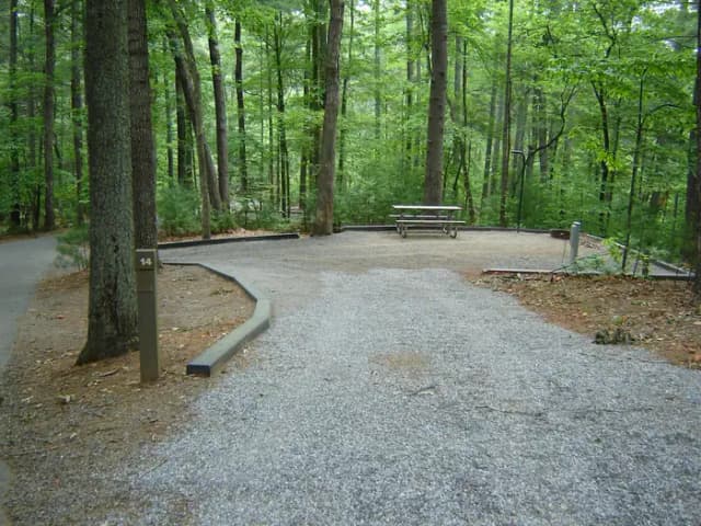 Site 14