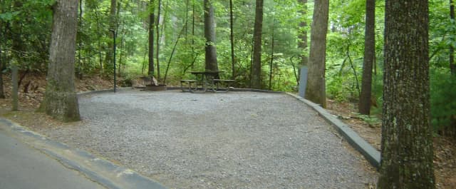 Site 15