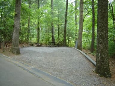 Site 15