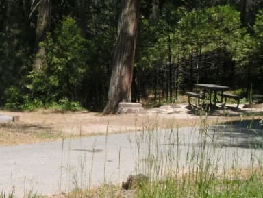 76-93 · Site 081 at Lupine