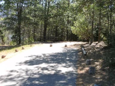 Lupine site