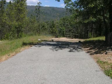 Lupine site  104