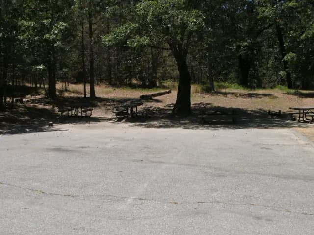 Cedar Bluff