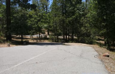 Cedar Bluff